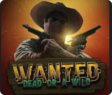 Wanted Dead or a Wild